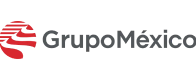 Grupo México — organización atendida por TEMISA